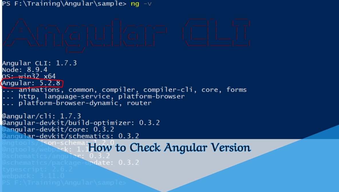 How to Check Angular Version